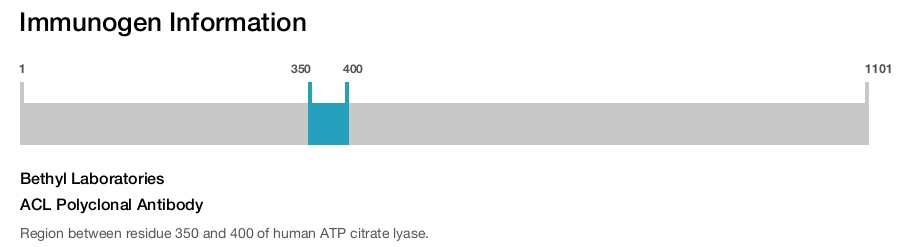 ACL Polyclonal Antibody