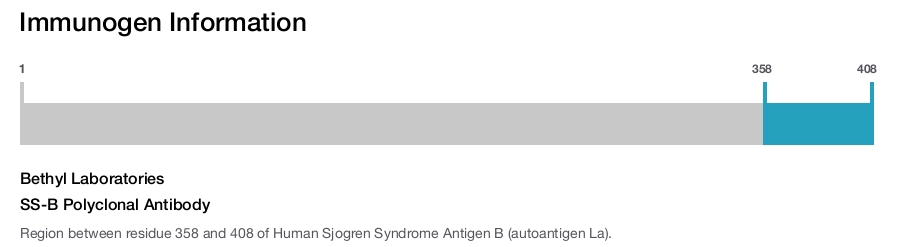 SS-B Polyclonal Antibody
