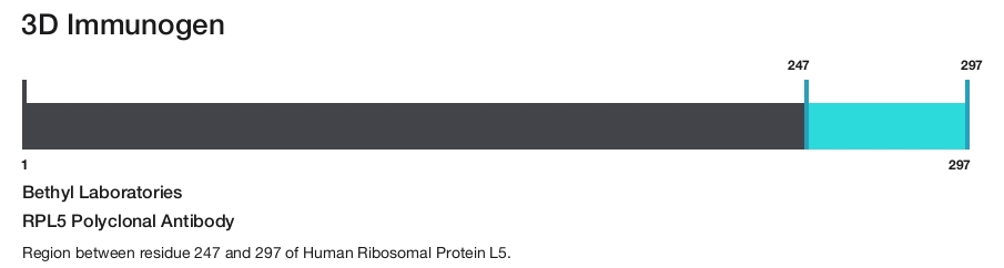 RPL5 Polyclonal Antibody