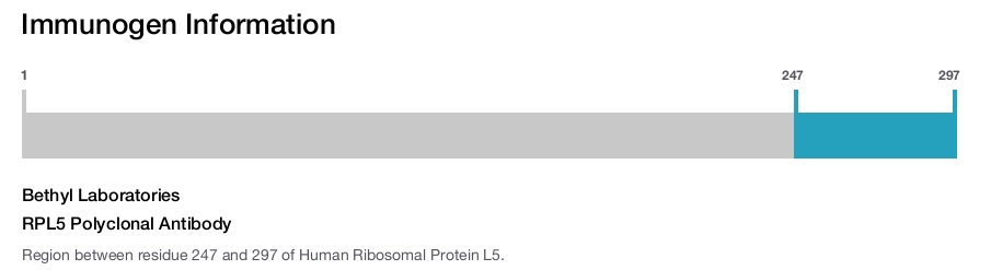 RPL5 Polyclonal Antibody