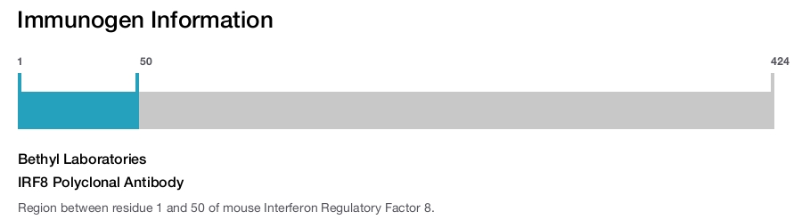 IRF8 Polyclonal Antibody