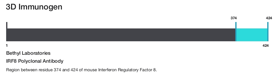 IRF8 Polyclonal Antibody