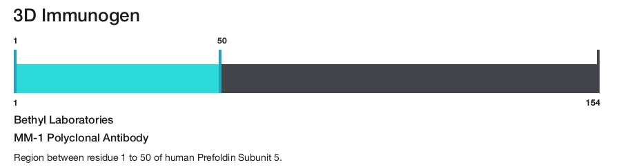 MM-1 Polyclonal Antibody