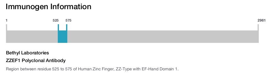 ZZEF1 Polyclonal Antibody
