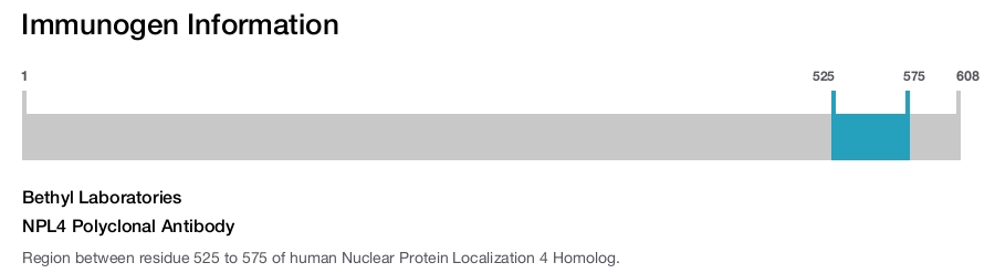 NPL4 Polyclonal Antibody