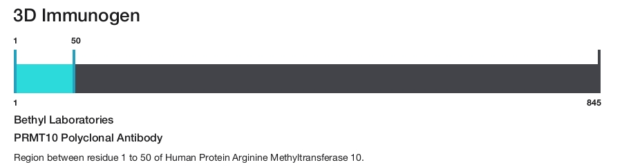 PRMT10 Polyclonal Antibody