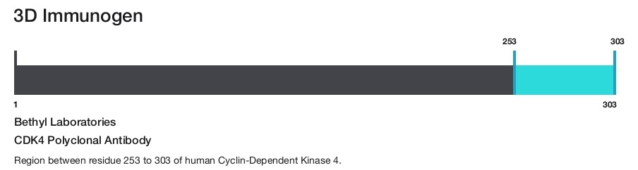 CDK4 Polyclonal Antibody