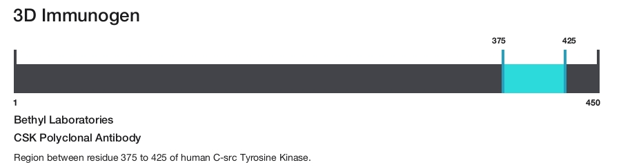 CSK Polyclonal Antibody