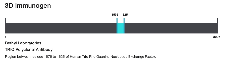TRIO Polyclonal Antibody
