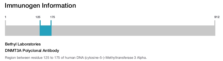 DNMT3A Polyclonal Antibody