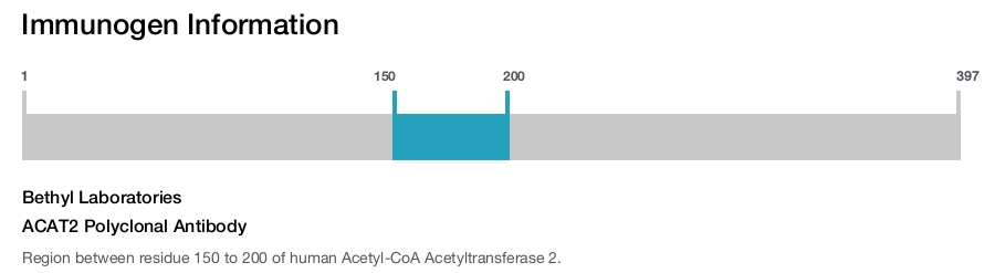 ACAT2 Polyclonal Antibody