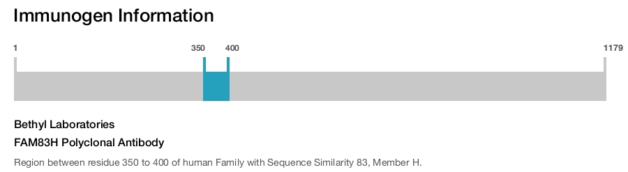 FAM83H Polyclonal Antibody