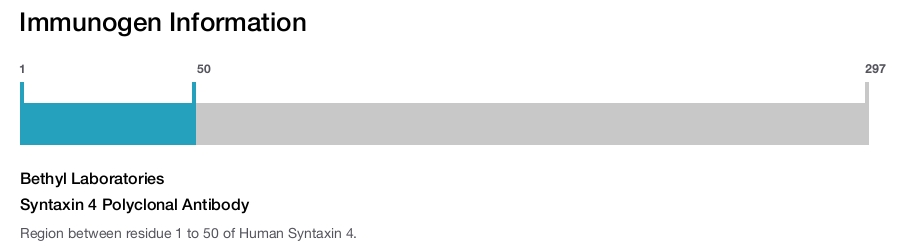 Syntaxin 4 Polyclonal Antibody