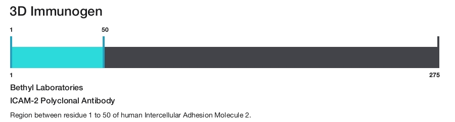 ICAM-2 Polyclonal Antibody