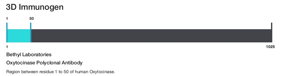 Oxytocinase Polyclonal Antibody