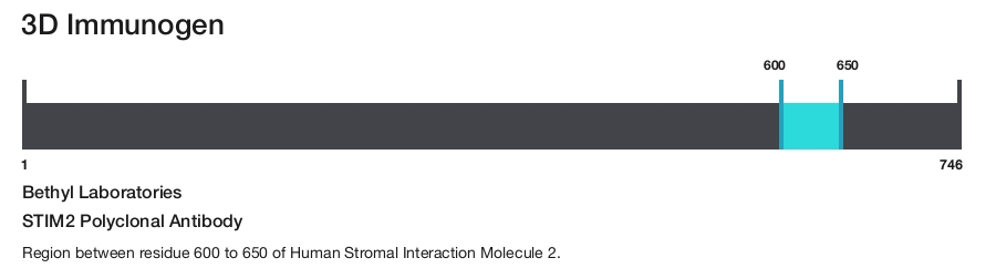 STIM2 Polyclonal Antibody