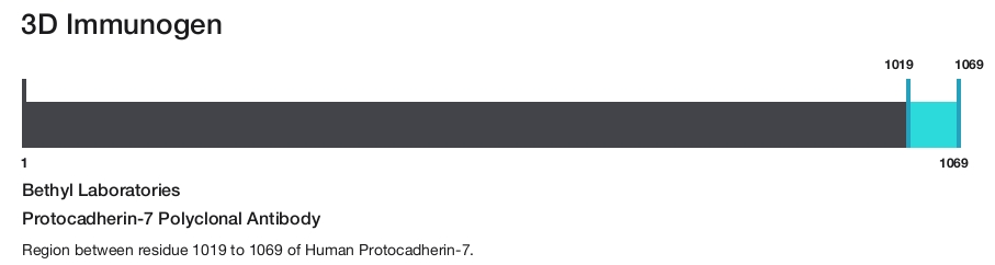 Protocadherin-7 Polyclonal Antibody