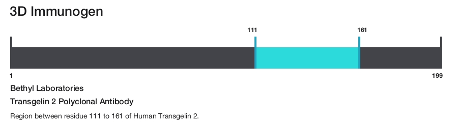 Transgelin 2 Polyclonal Antibody
