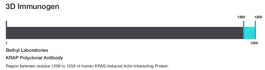 KRAP Polyclonal Antibody