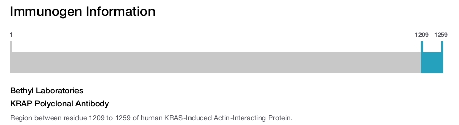 KRAP Polyclonal Antibody