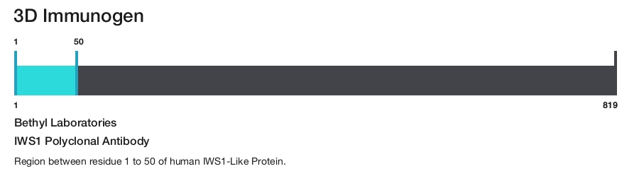IWS1 Polyclonal Antibody
