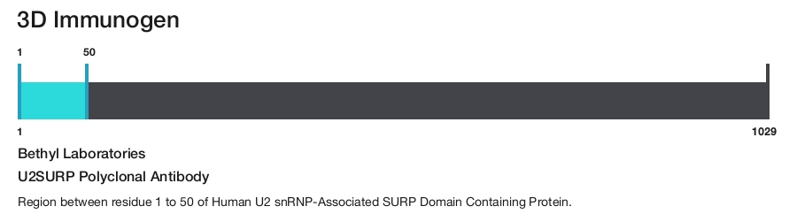 U2SURP Polyclonal Antibody