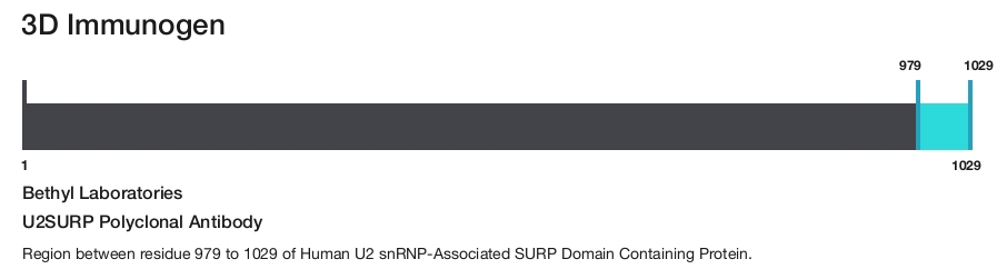 U2SURP Polyclonal Antibody