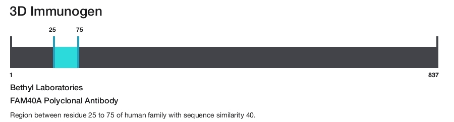 FAM40A Polyclonal Antibody
