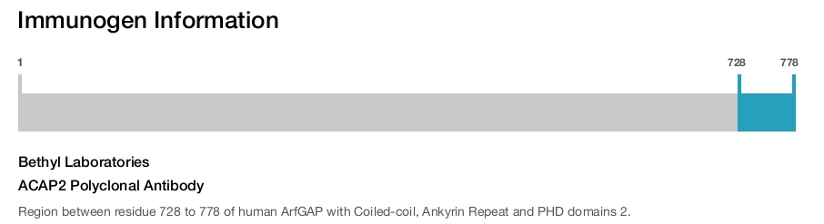 ACAP2 Polyclonal Antibody