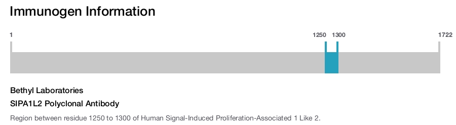 SIPA1L2 Polyclonal Antibody