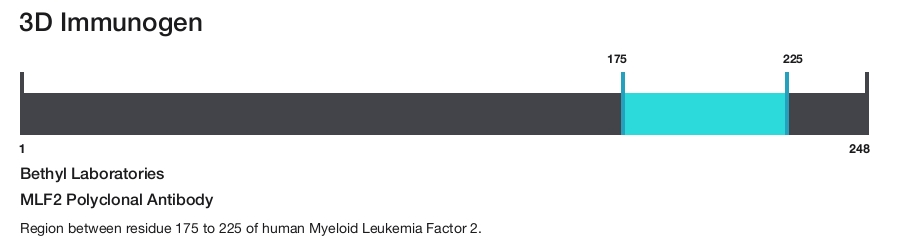 MLF2 Polyclonal Antibody