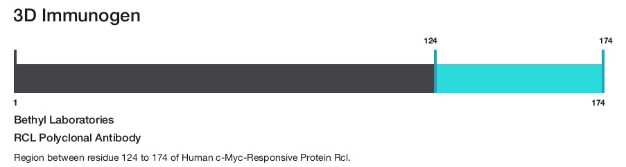 RCL Polyclonal Antibody