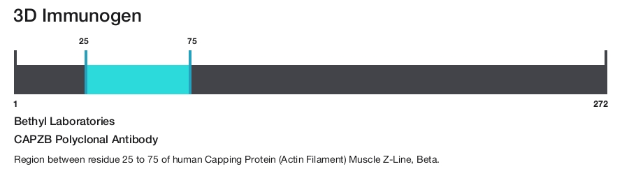 CAPZB Polyclonal Antibody