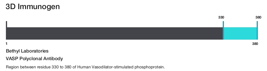 VASP Polyclonal Antibody