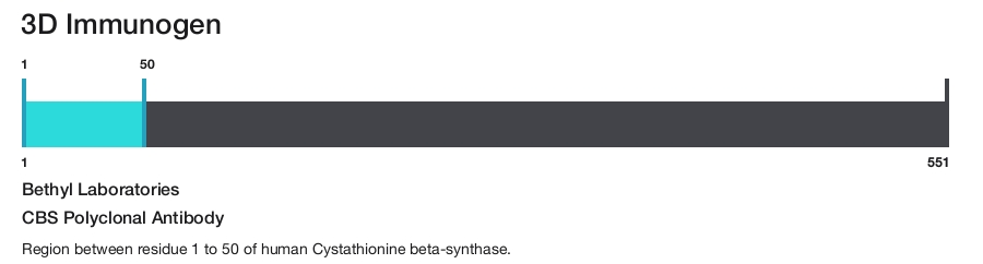 CBS Polyclonal Antibody