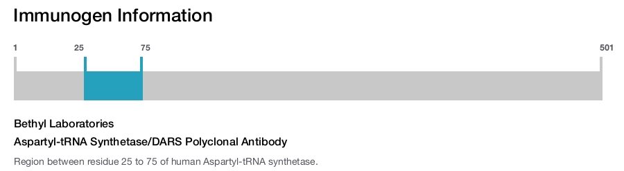 Aspartyl-tRNA Synthetase/DARS Polyclonal Antibody