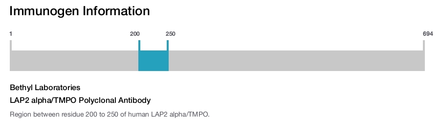 LAP2 alpha/TMPO Polyclonal Antibody