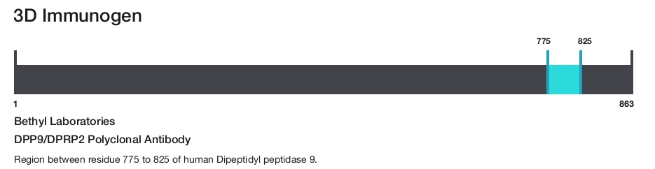 DPP9/DPRP2 Polyclonal Antibody