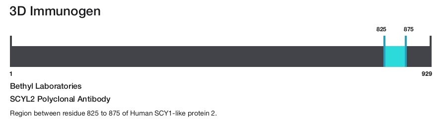SCYL2 Polyclonal Antibody