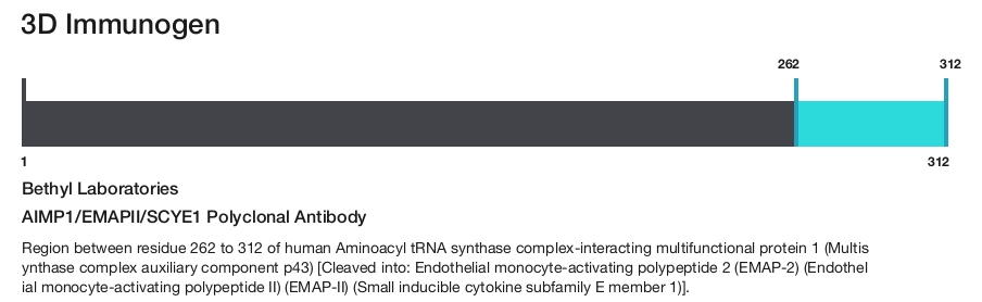 AIMP1/EMAPII/SCYE1 Polyclonal Antibody