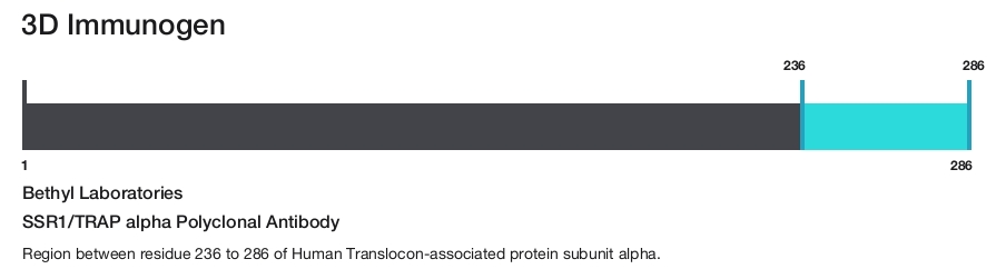SSR1/TRAP alpha Polyclonal Antibody