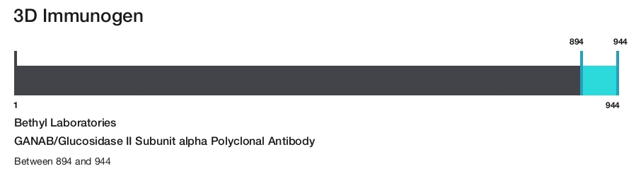 GANAB/Glucosidase II Subunit alpha Polyclonal Antibody