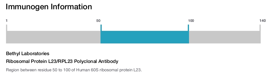 Ribosomal Protein L23/RPL23 Polyclonal Antibody