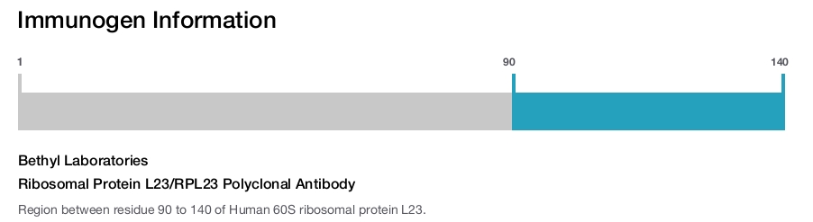 Ribosomal Protein L23/RPL23 Polyclonal Antibody