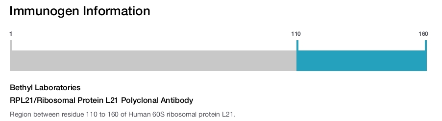 RPL21/Ribosomal Protein L21 Polyclonal Antibody