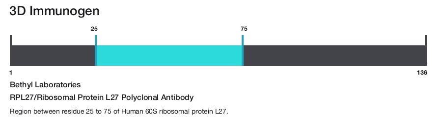 RPL27/Ribosomal Protein L27 Polyclonal Antibody