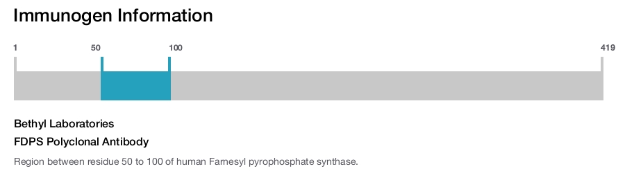 FDPS Polyclonal Antibody