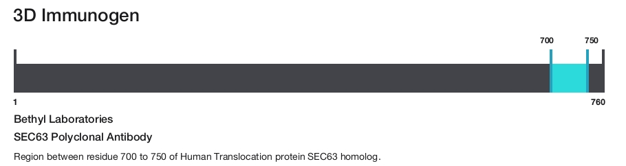 SEC63 Polyclonal Antibody