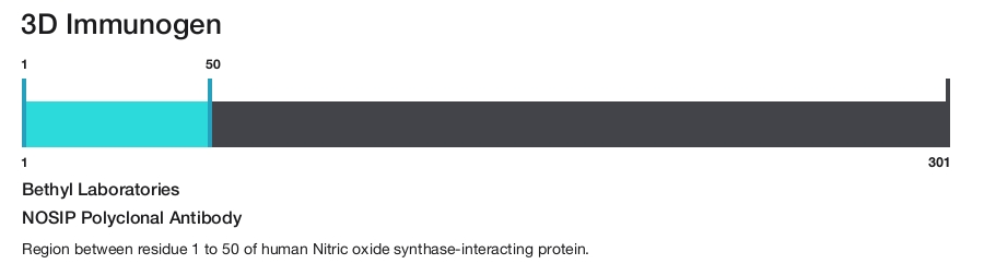 NOSIP Polyclonal Antibody