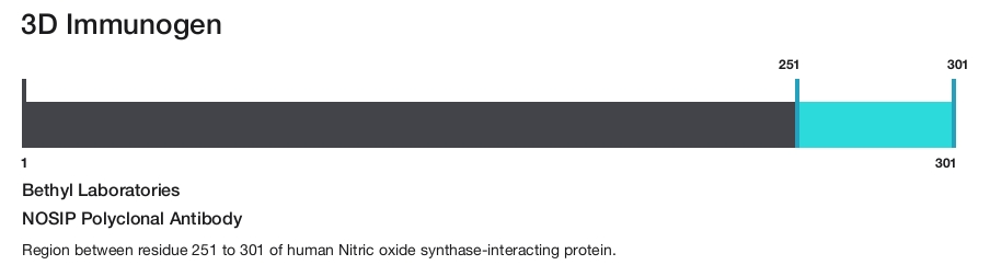 NOSIP Polyclonal Antibody